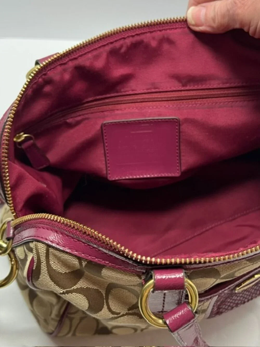 Coach Signature Stripe Python Satchel F24884 in Khaki w/Raspberry Python w/COA